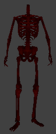 File:Env ragdoll skeleton bloody.png