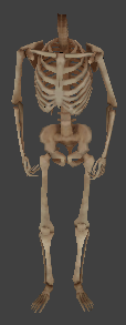 File:Ai undead skeleton.png