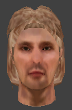 File:Ai head08 commoner.png
