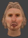 File:Ai head06 nobleman blonde greenhat.png