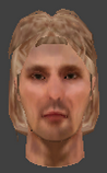 File:Ai head08 commoner blonde.png