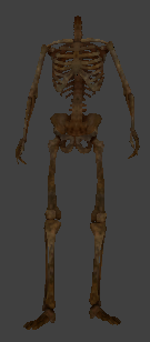 File:Ai undead skeleton dirty armed.png