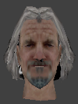 File:Ai head nobleman1 greenhat.png