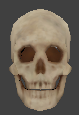 Ai head skeleton flaming skull.png