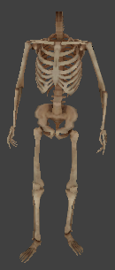 File:Ai undead skeleton armed.png