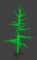 Nature pine nohide.png