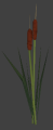 Nature cattails 2.png