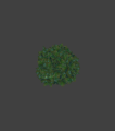 Hedge01 round small.png