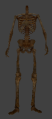 Ai undead skeleton dirty armed.png