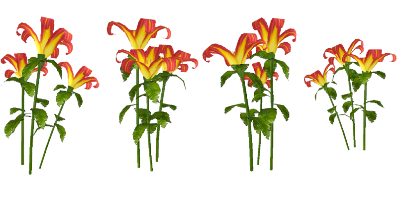 File:Lily atlas.png