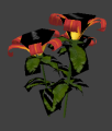Nature flower lily tall.png