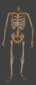 Ai undead skeleton armed.png