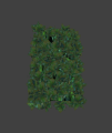 Hedge01 square.png