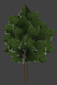 Nature tree 01 smallest.png