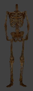 File:Ai undead skeleton dirty.png