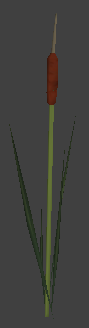 File:Nature cattails 1.png
