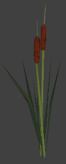 File:Nature cattails 2.png