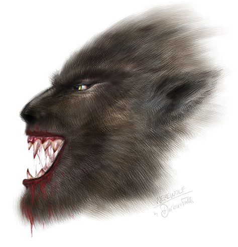 File:Werewolf-DF.jpg