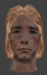 File:Ai head05 commoner lighthair.png