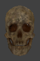 File:Ai head skeleton skull dirty.png