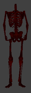 File:Ai undead skeleton bloody.png