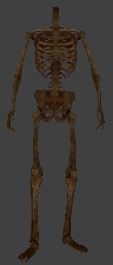 File:Env ragdoll skeleton.png