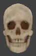 File:Ai head skeleton skull.png