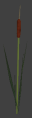 Nature cattails 1.png