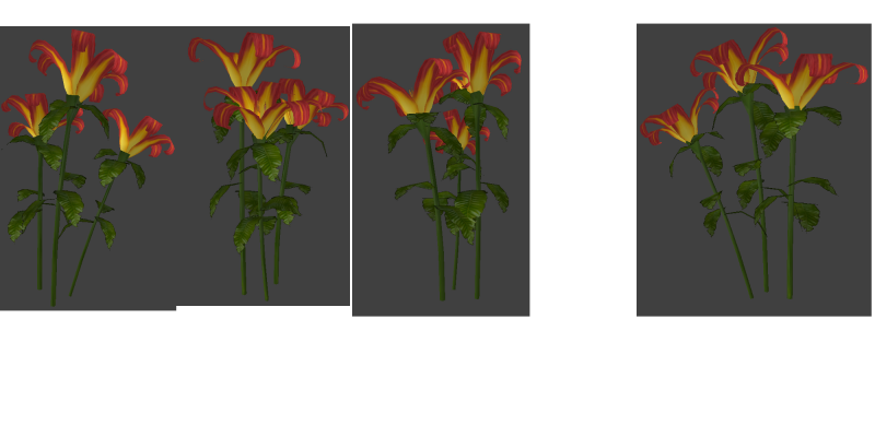 File:Lily attempt 1.png