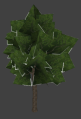 Nature tree 01 smaller.png