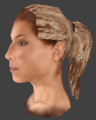 Ai head female02 ponytail red.png