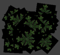 Nature pine leaves nohide.png