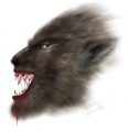 Werewolf-DF.jpg