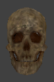 Ai head skeleton skull dirty.png