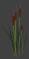 Nature cattails 4.png