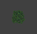 Hedge01 square small.png